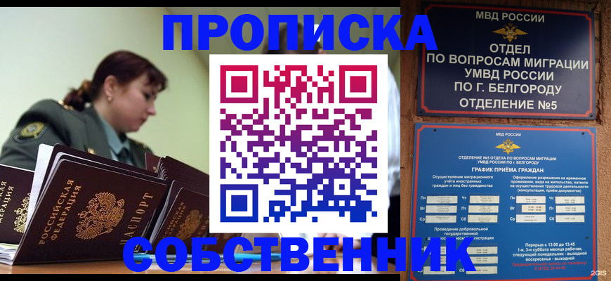 прописка 2025 в Михайлове